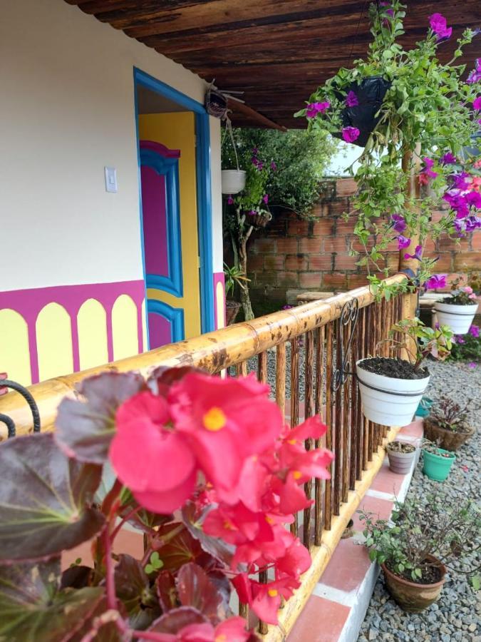 Hostal Casa Madrigal Hotel Filandia Exterior foto